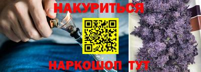 СК Кингисепп