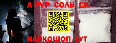 СК Кингисепп