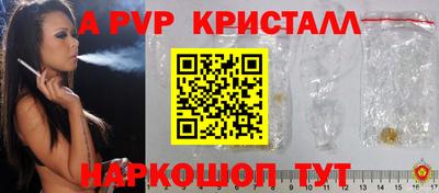 СК Кингисепп